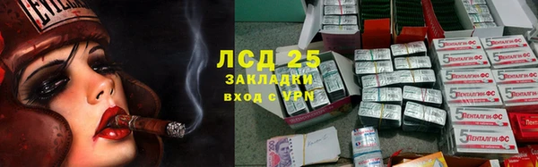 стафф Алексин