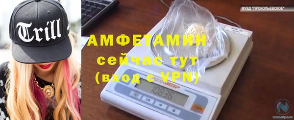 apvp Алзамай