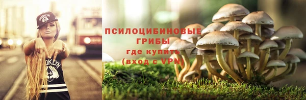 стафф Алексин
